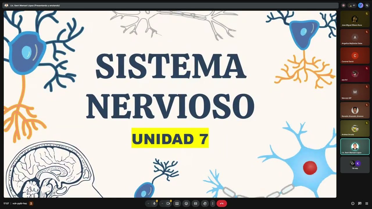 CLASE DE BIOLOGIA: TEMA 7  12/02/2026