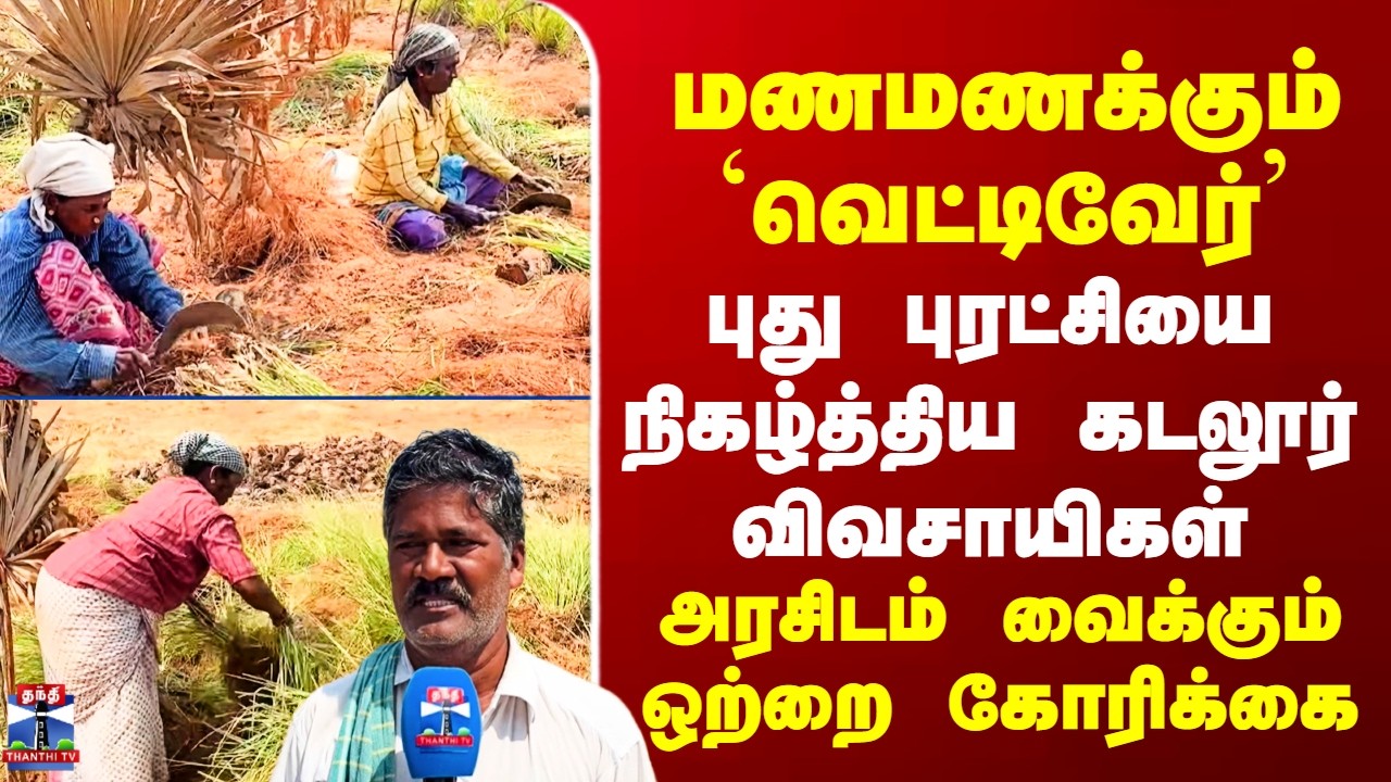 Vettiver Farming | மணமணக்கும் `வெட்டிவேர்’ - புது புரட்சியை நிகழ்த்திய கடலூர் விவசாயிகள்