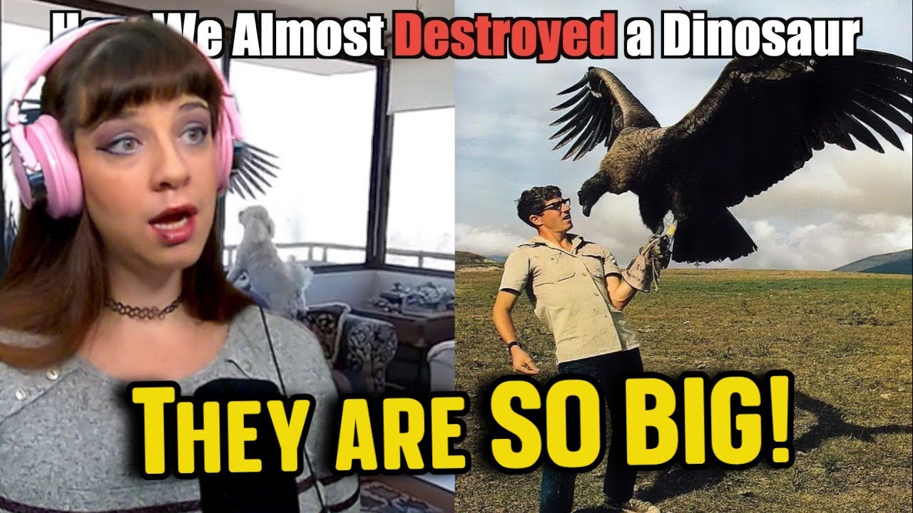 *They are absolute UNITS!* Why We Owe a Vulture on Steroids an Apology