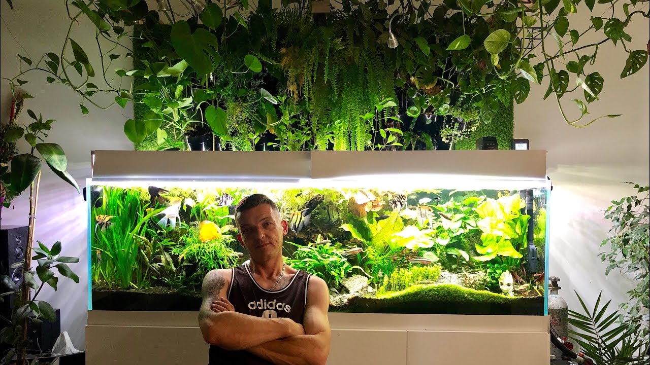 Akwarium z ogrodem wertykalnym - Zrób to sam cz.1 - Stelaż + Prolog + 1000 subów