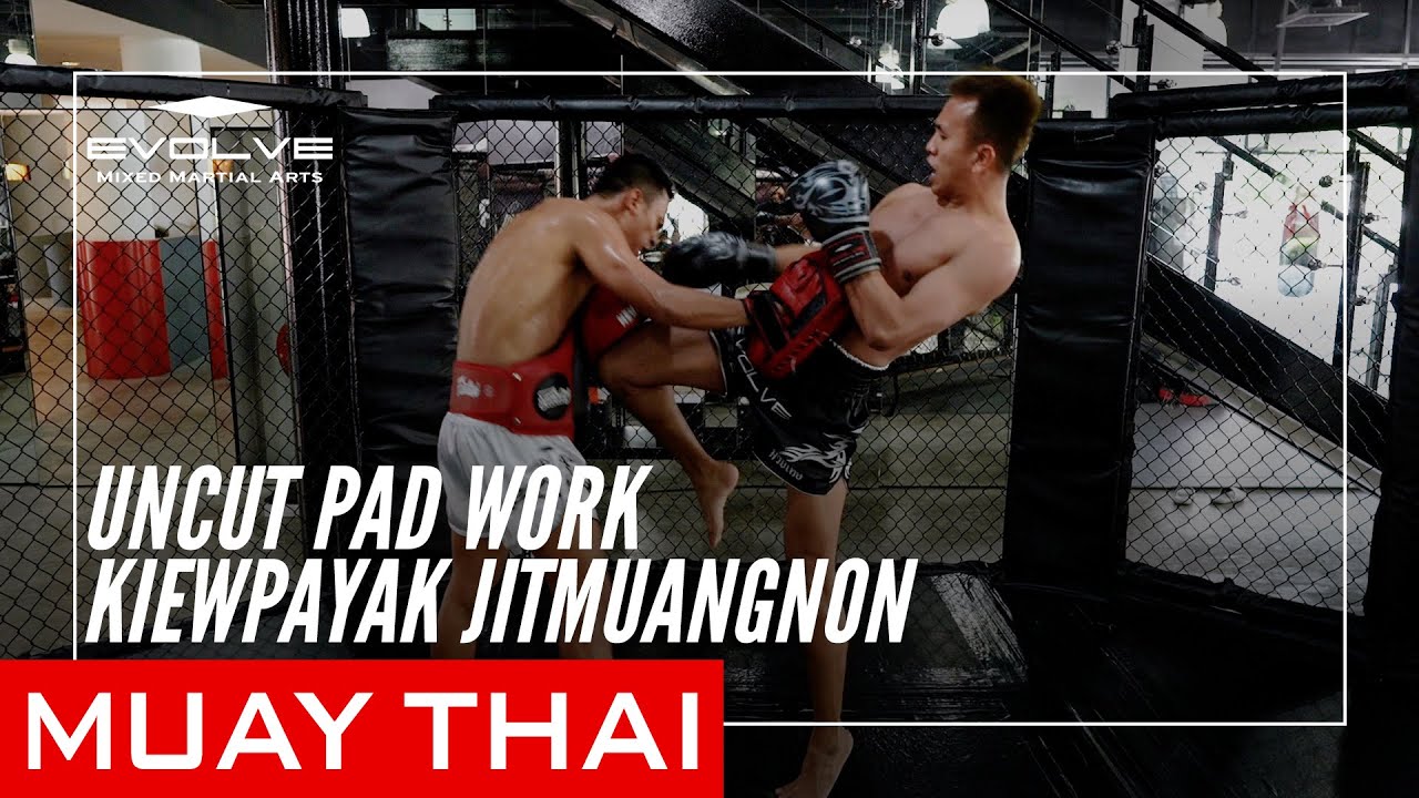 Uncut Muay Thai Pad Work | Kiewpayak Jitmuangnon
