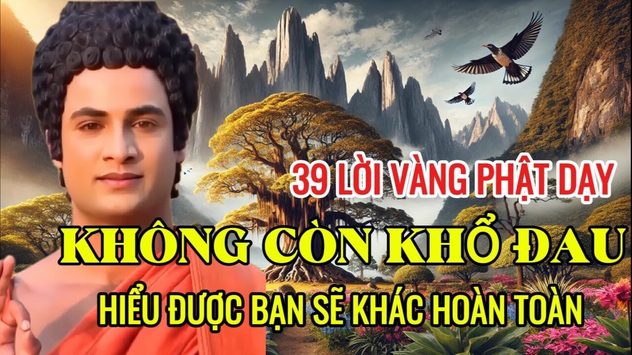 24. 39 Lời Vàng Phật Dạy Giúp Bạn Giải Thoát Khổ Đau - Hiểu Được Bạn Sẽ Khác Hoàn Toàn! #loiphatday