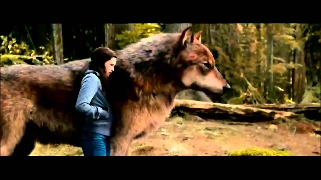 Forever (Jacob Black Fanfiction)
