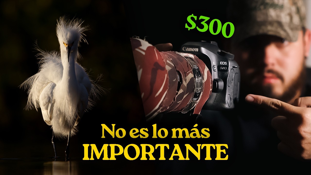 Fotografiando Aves con una Cámara de $300 📸🦅