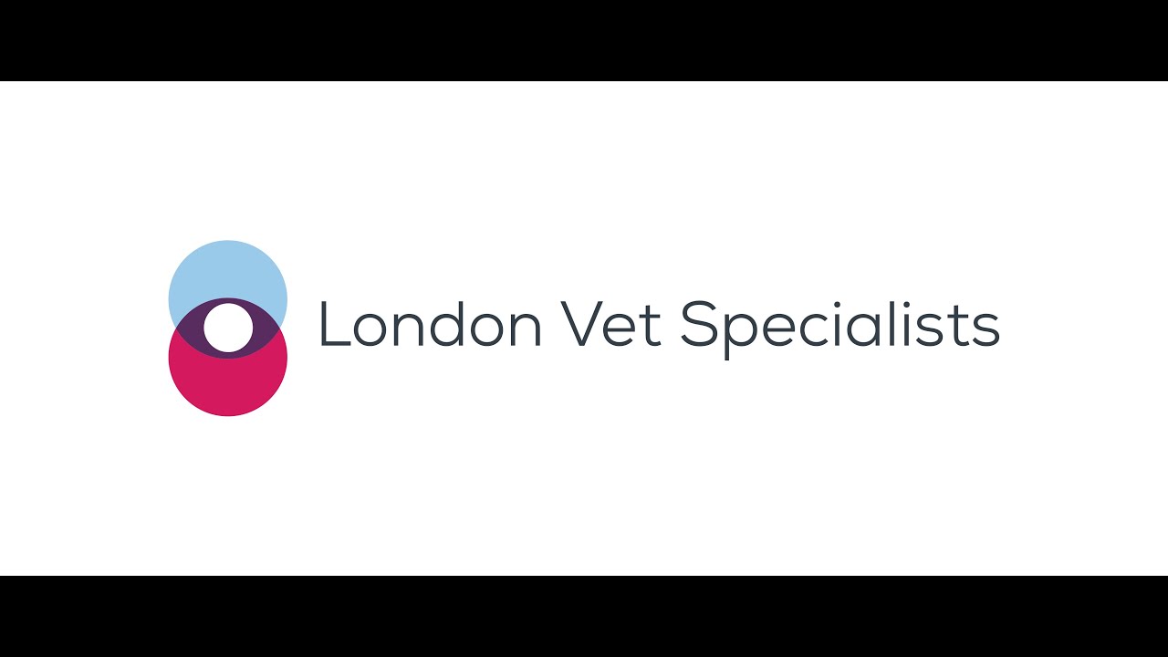 London Vet Specialists - Journal Club (May 2021)