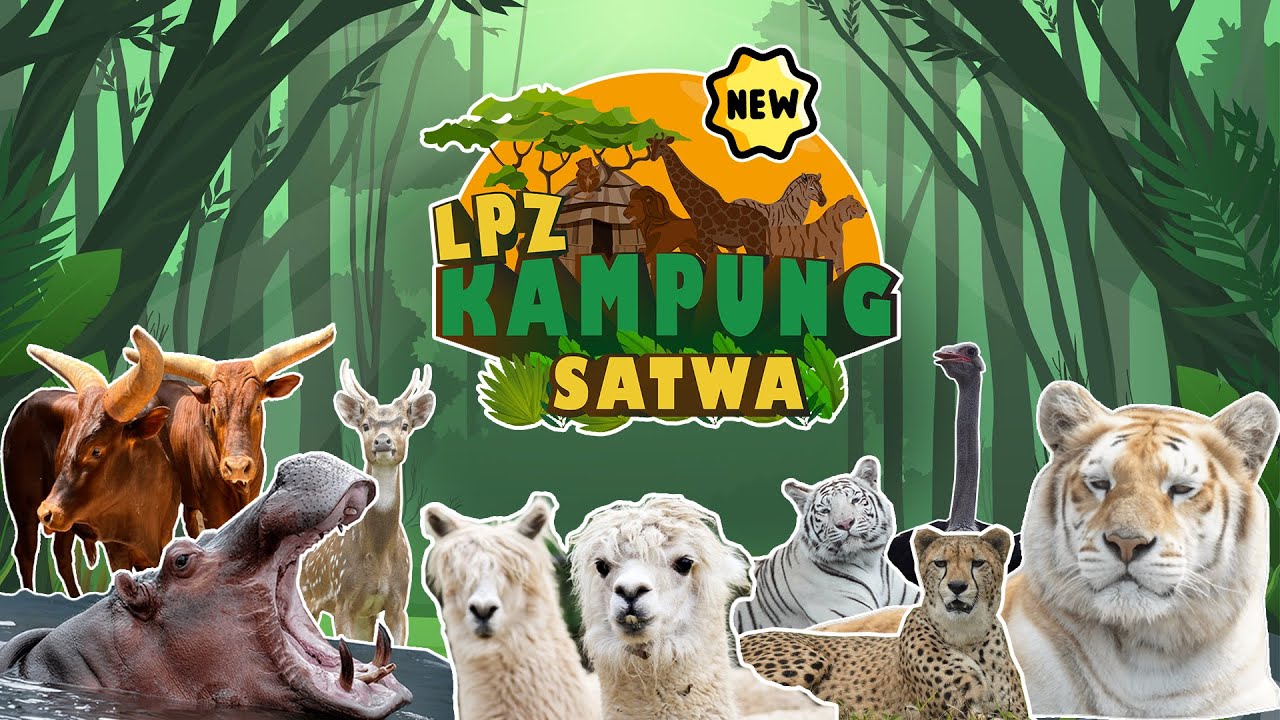 Lembang Park & Zoo | NEW Kampung Satwa 🥰