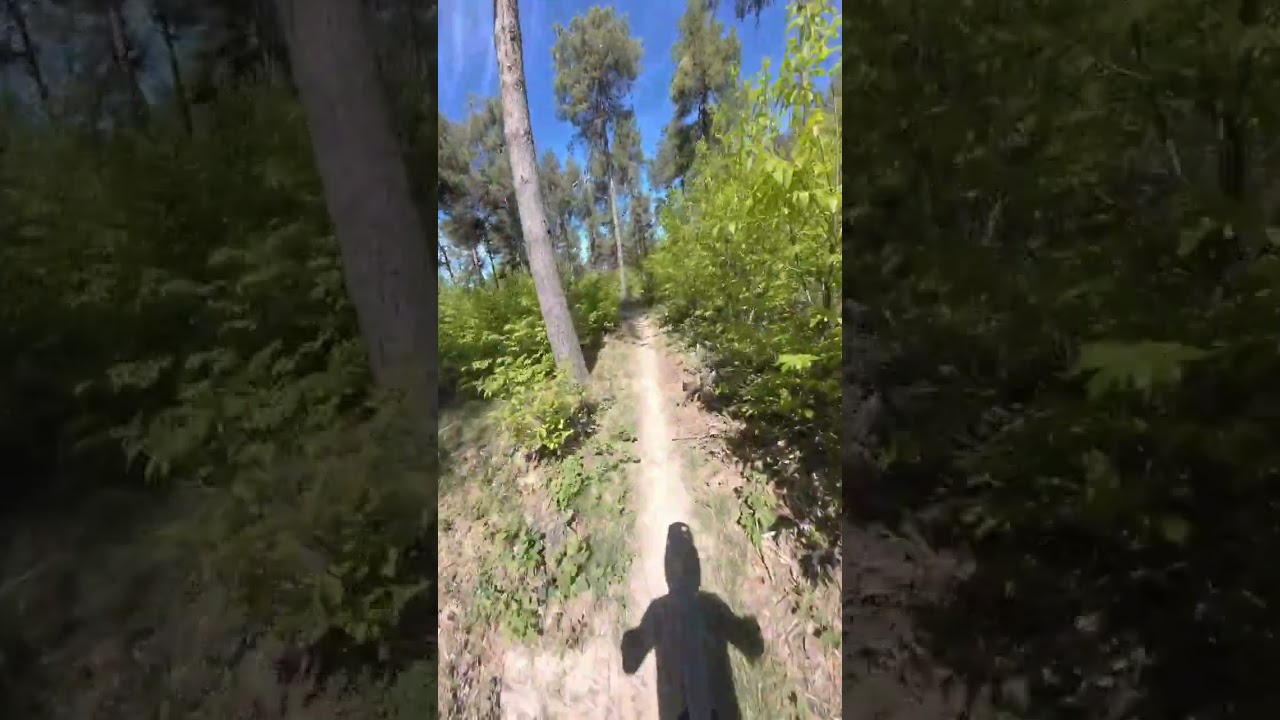 Baltera DH Osiglia Trail 