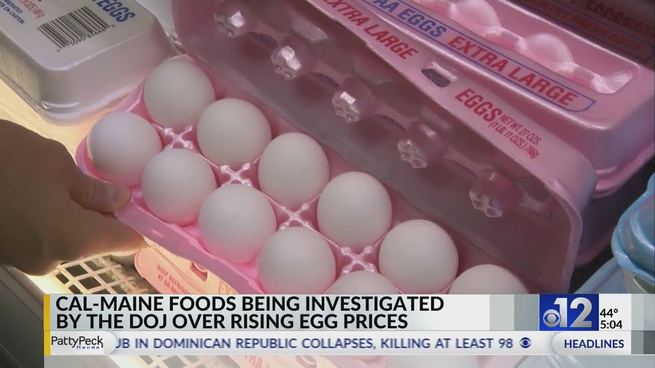 US egg giant Cal-Maine says government is investigating price increases