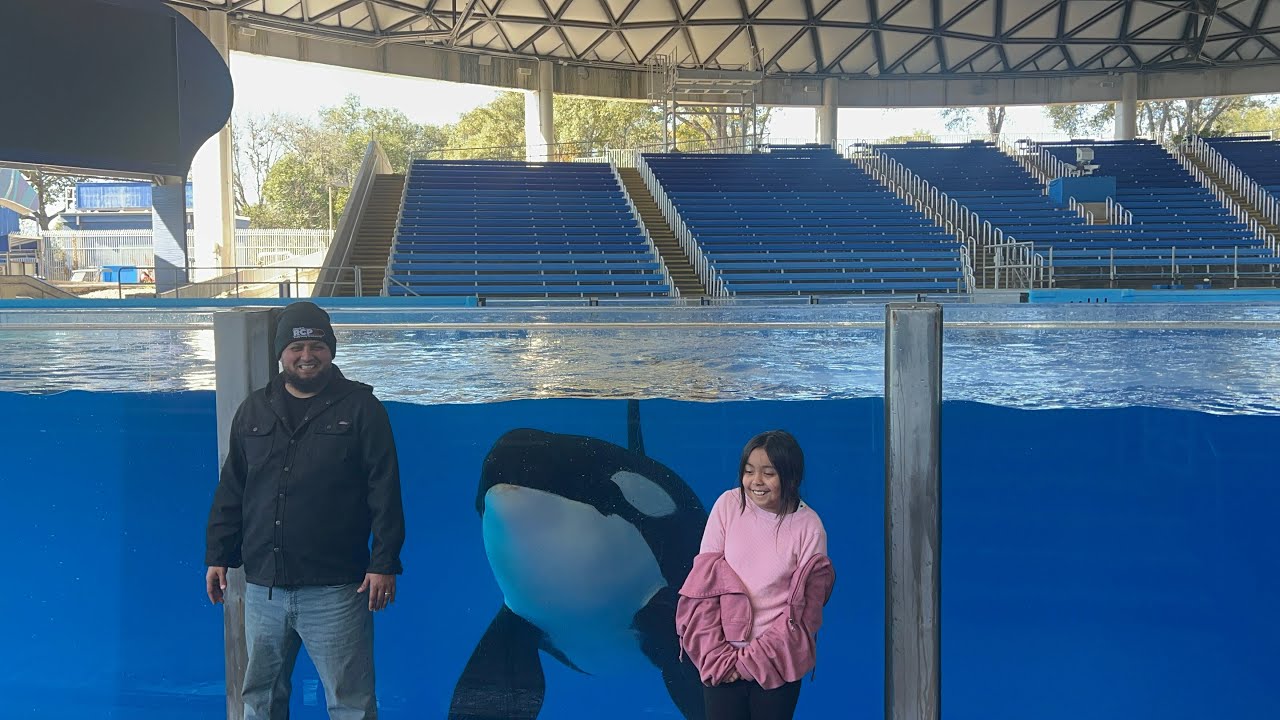 Marshuntv SEAWORLD ORCA EXPERIENCE 