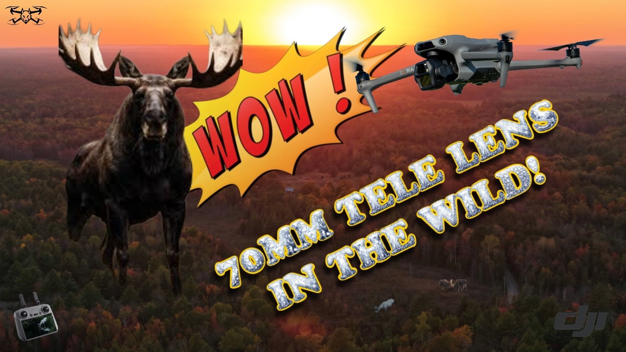 WOW! DJI Air 3S SHOOTING MOOSE with a 70MM TELE LENS!