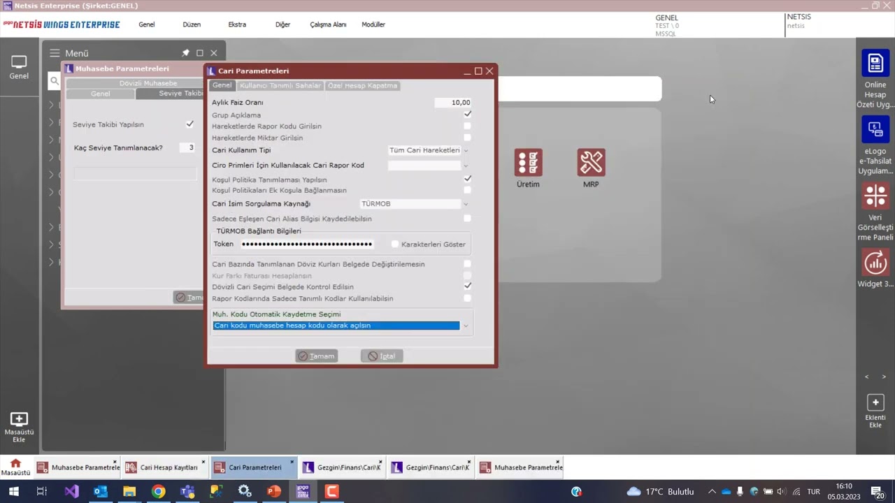 Netsis Cari Hesap Kayıtları - Muhasebe Hesaplarının Otomatik Tanımlanması
