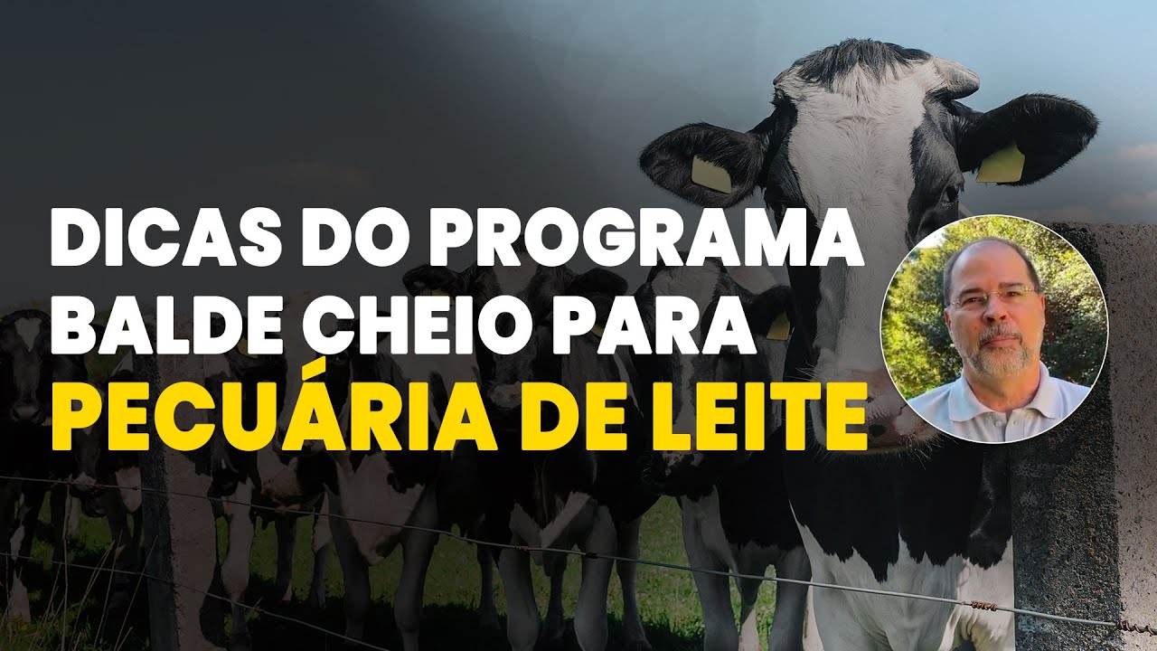 CONHEÇA O PROGRAMA BALDE CHEIO DA EMBRAPA