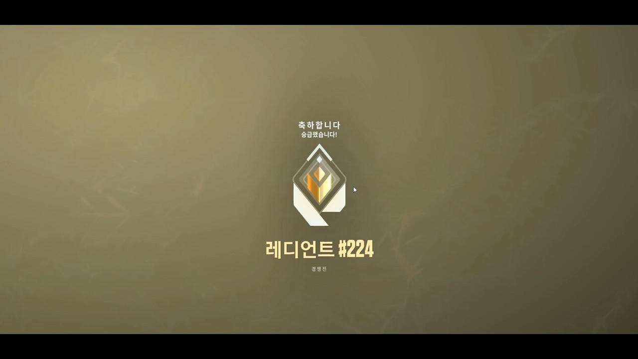 너 이런거 좋아하잖아