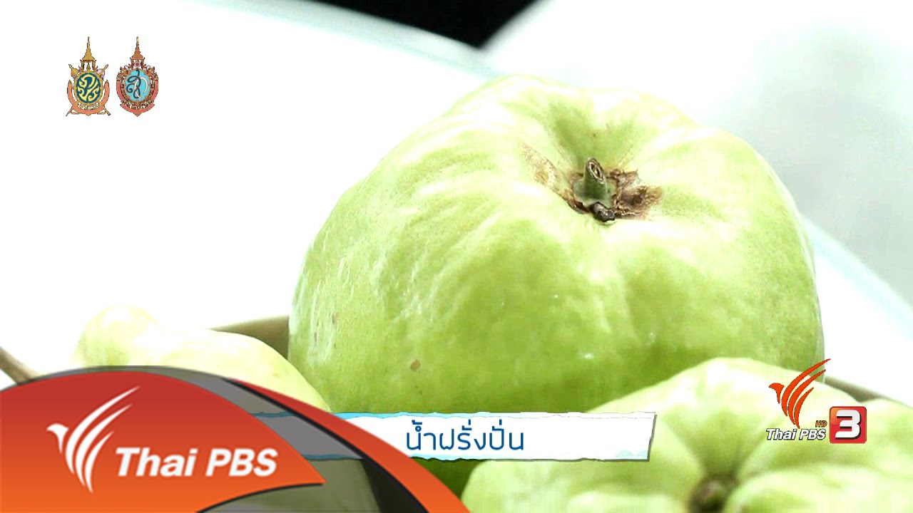 คนสู้โรค : น้ำฝรั่งปั่น (18 ส.ค 59)