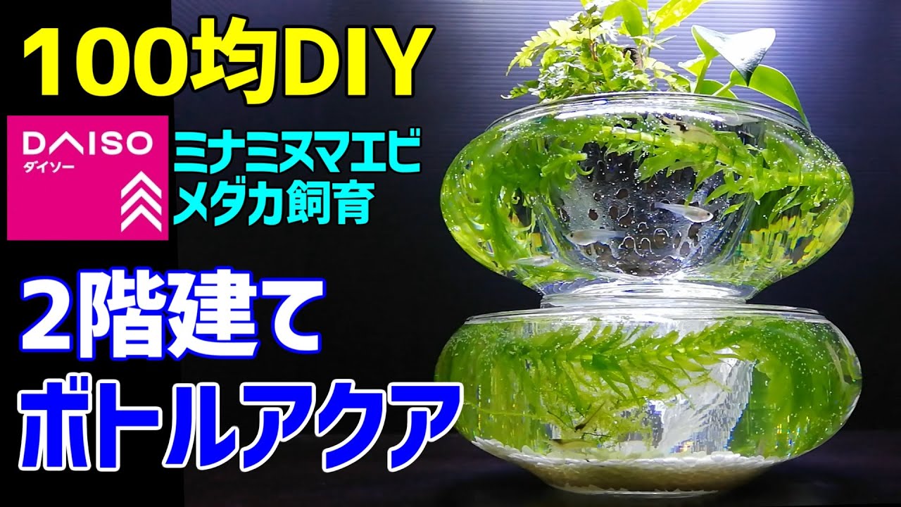 2階建て【ボトルアクアリウム】作り方100均DIY! ミナミヌマエビ・メダカ室内飼育・ビオトープ・インテリアに使える～How to Make Tabletop Aquarium～