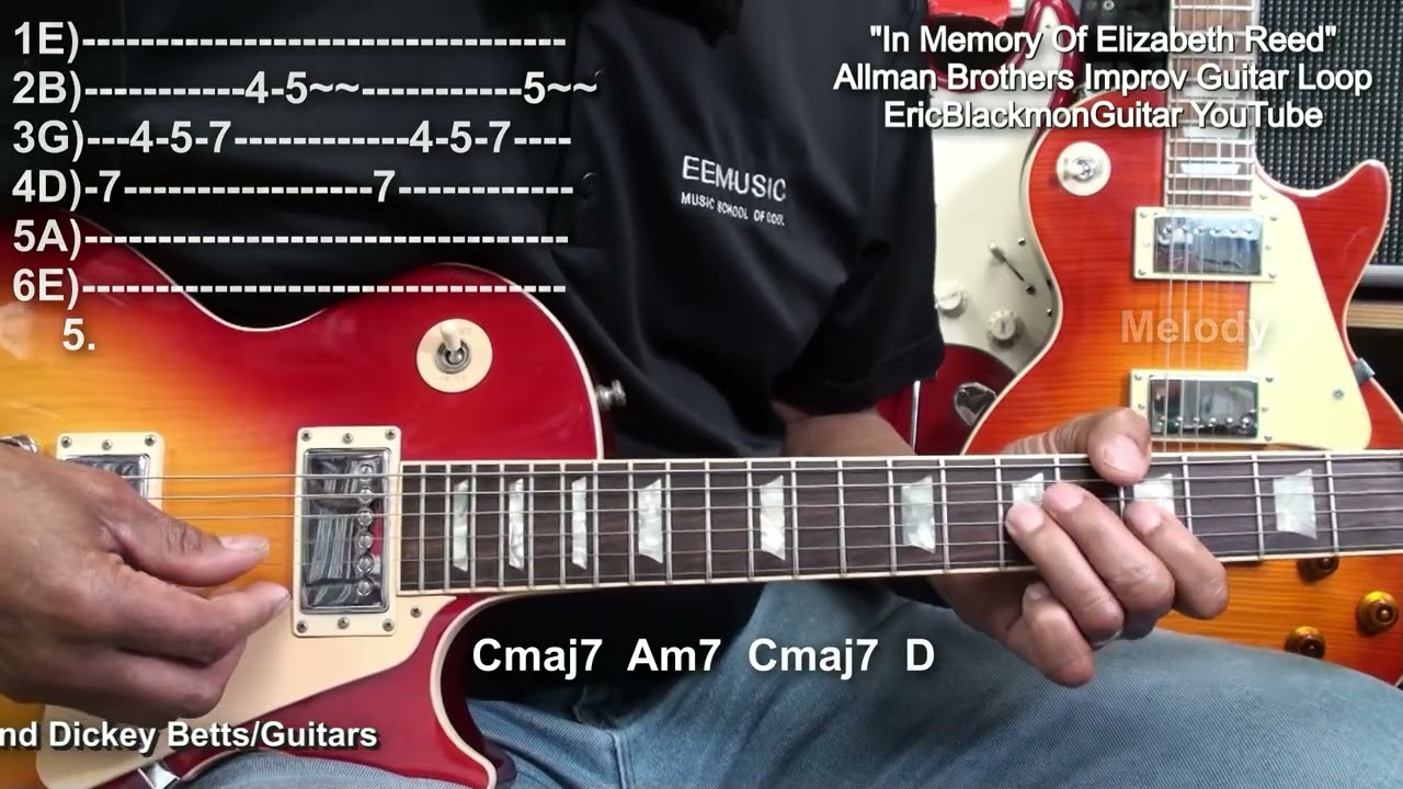 IN MEMORY OF ELIZABETH REED The Allman Brothers Guitar Loop Cover @EricBlackmonGuitar