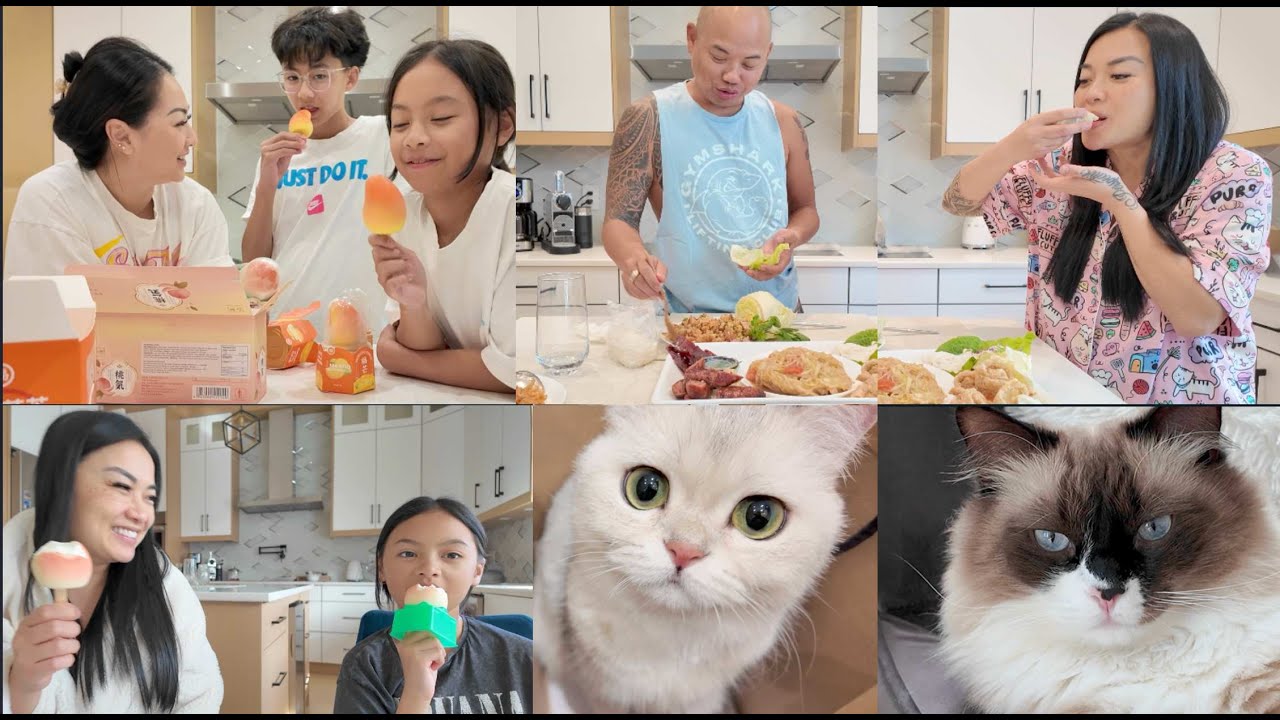 THE LAZY DAY VLOG FULL OF FOOD | SASVlogs