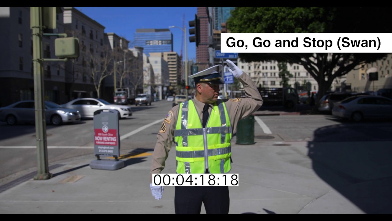 Traffic Officer II Training video