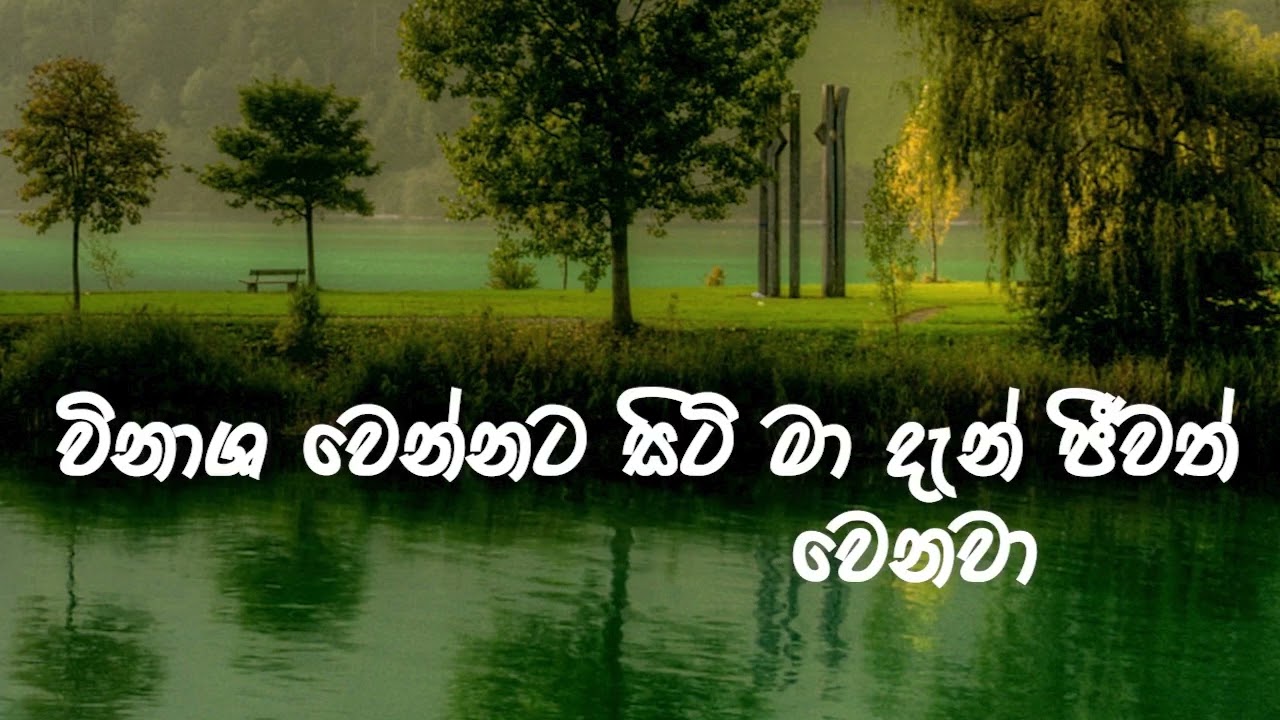 Obe Alankara Dasin (ඔබෙි අලංකාර දෑසින්) Live Acoustic Cover