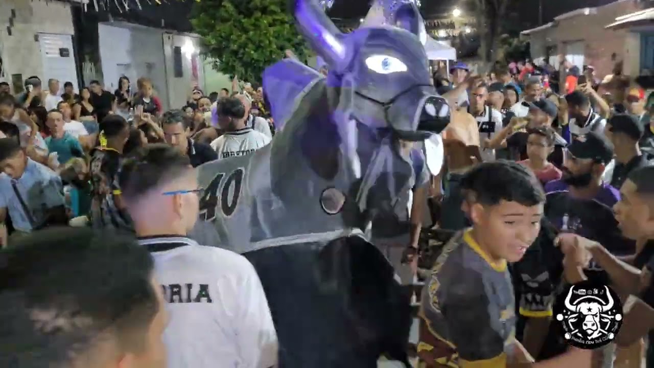 O Dono Da Festa Boi Conexão 40