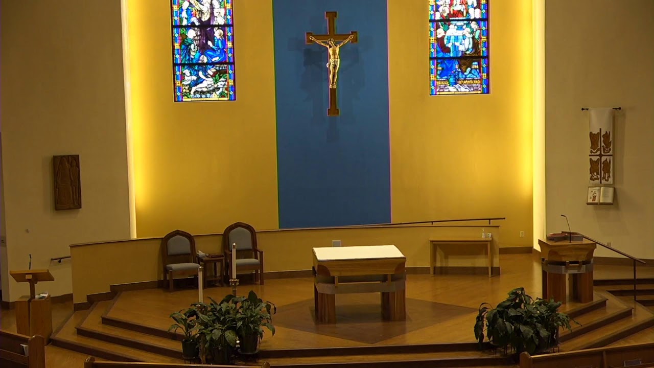 Daily Mass January 22, 2026