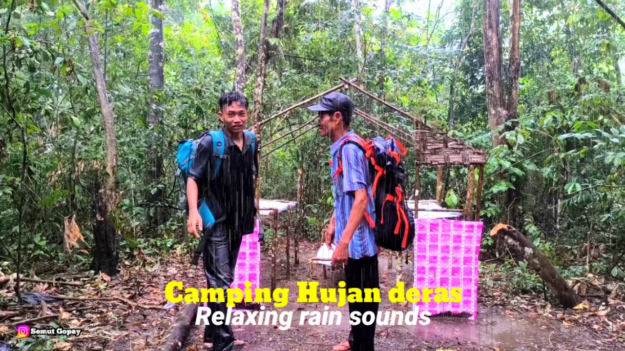 Diguyur hujan deras disertai angin kencang camping bersama ayah tercinta, relaxing rain sound