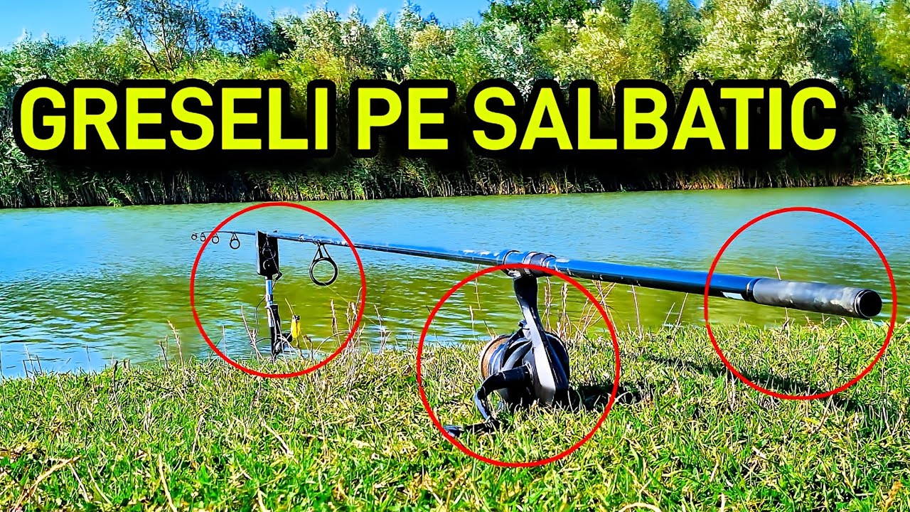 DACA FACI ACESTE GRESELI PE SALBATIC, ADIO PESTE... 