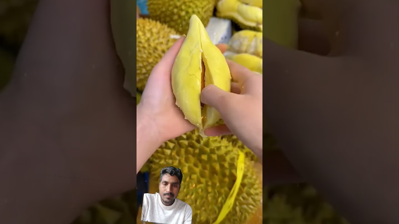 This is real Jack fruit #vlog #viralvideo #virals #farming