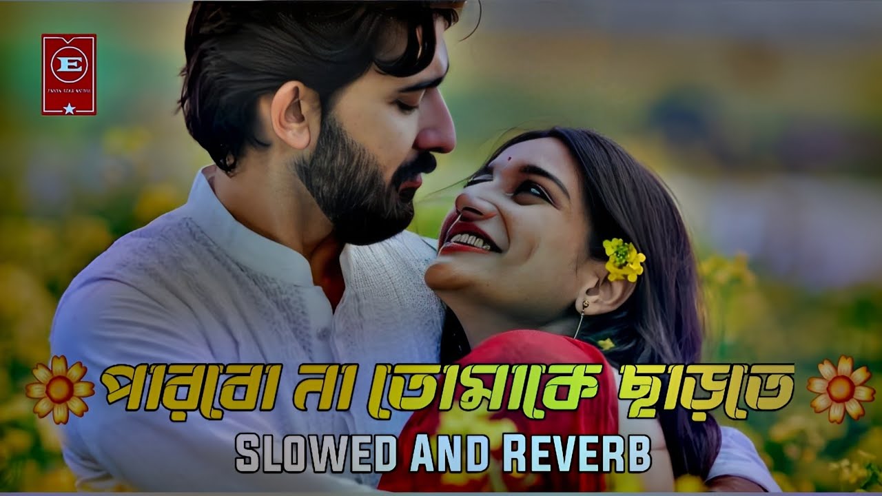 Parbo Na Tomake Charte | Slowed And Reverb | পারবো না তোমাকে ছাড়তে | Imran mahmudul |Humaira Eshika