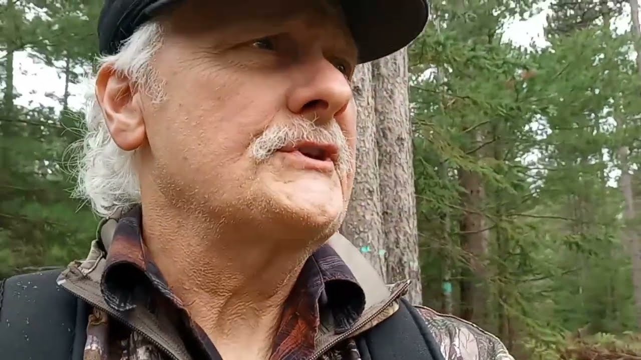 Finding the right Pine Plantation to Hunt
