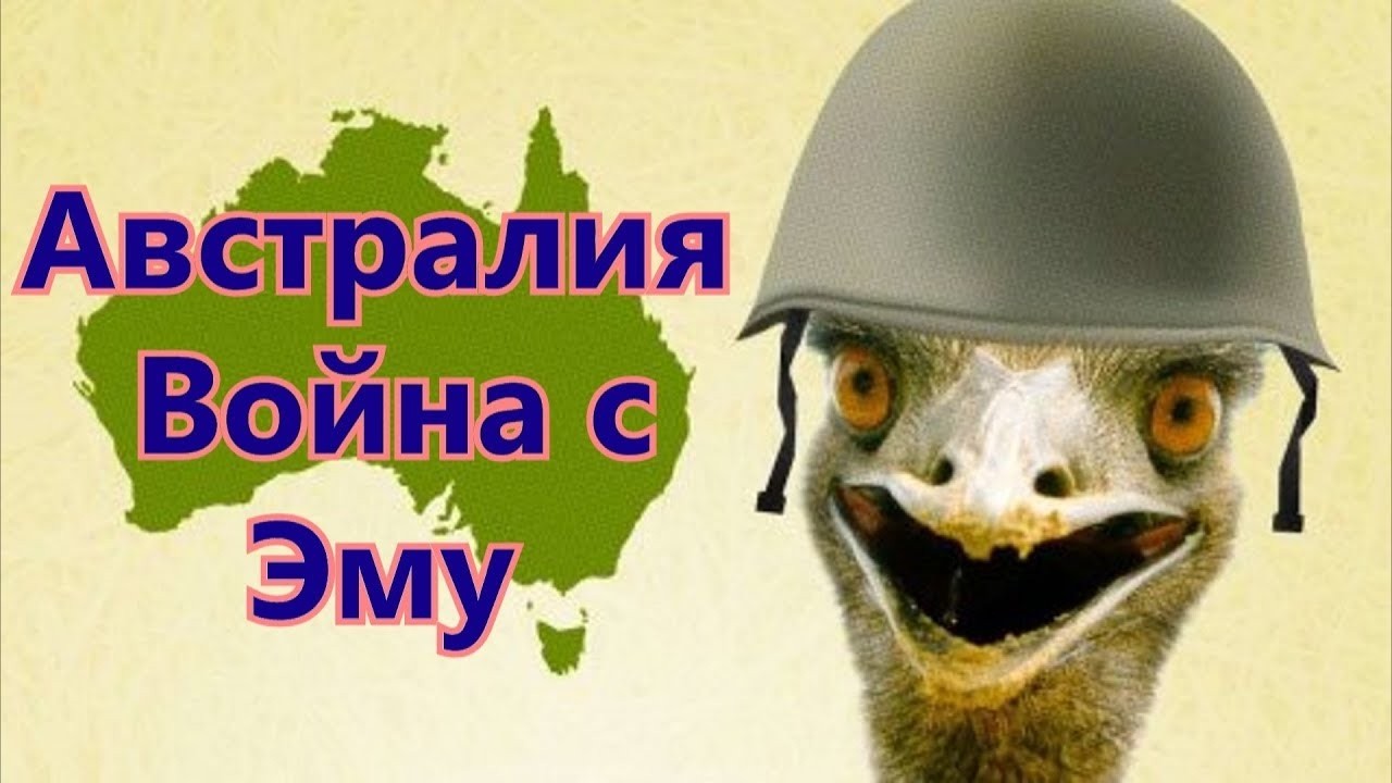Война с эму или Emu war.  Вячеслав Котляров.