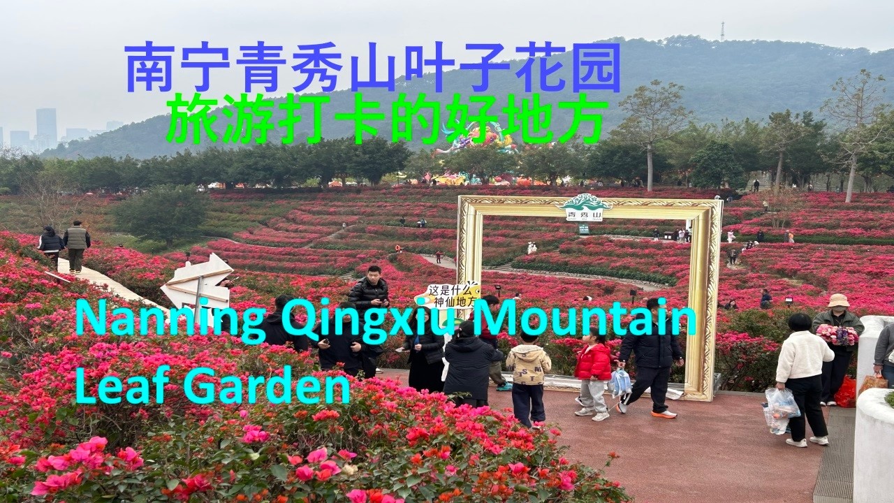 南宁青秀山叶子花园，旅游打卡的好地方-2026春节旅游/Visit the Leaf Garden at Nanning Qingxiu Mountain-2026 Spring Festival
