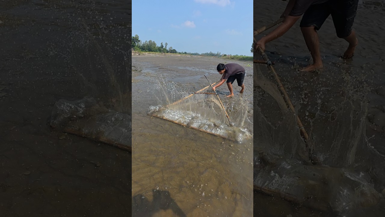 Jamuna River Traditional Fishing &ndash; Village Boys&rsquo; Real Talent