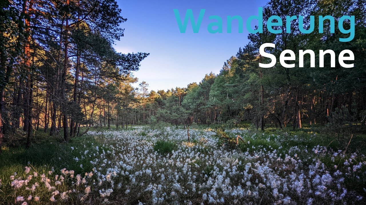 Furlbachtal in der Senne, Nordrhein-Westfalen