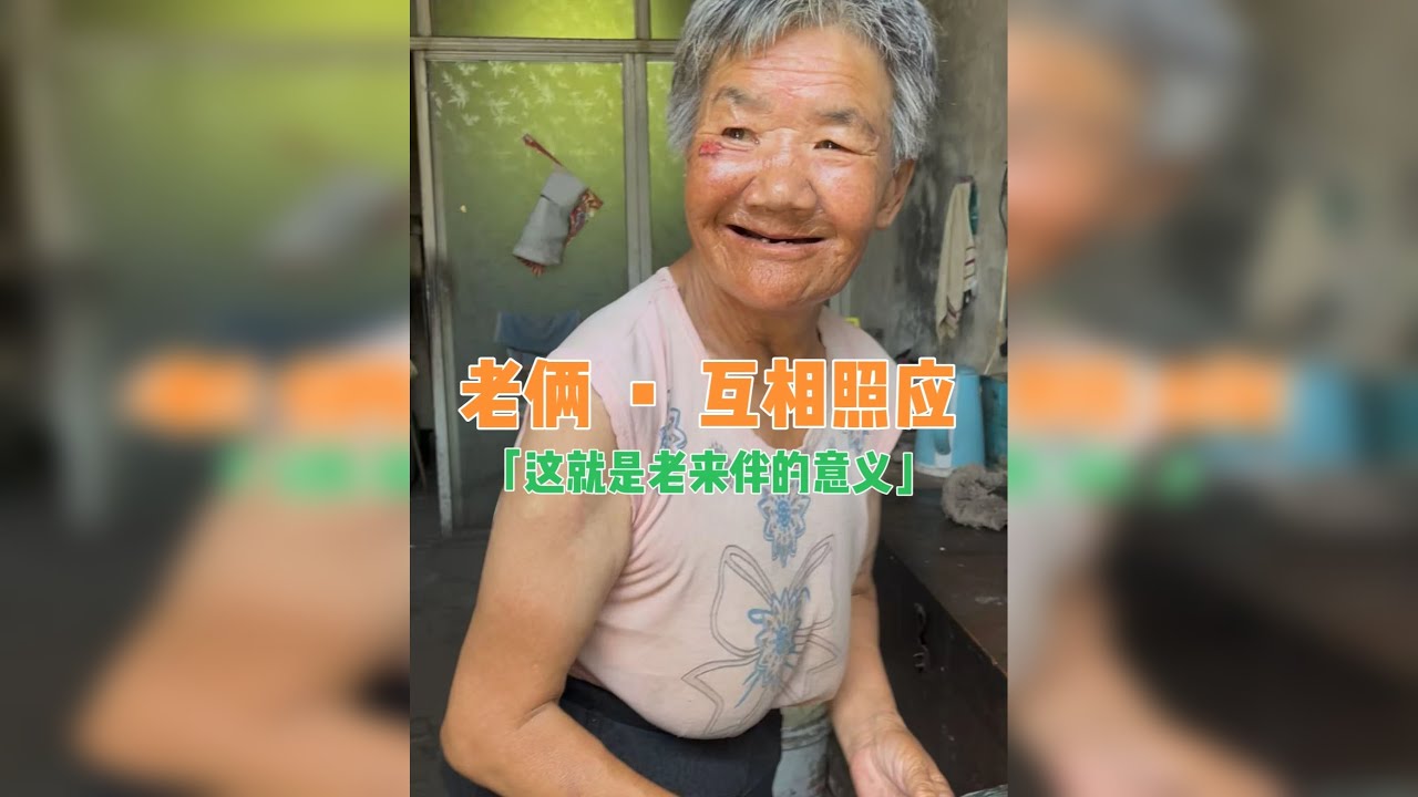 老来伴,老来伴,这就是老来伴的意义