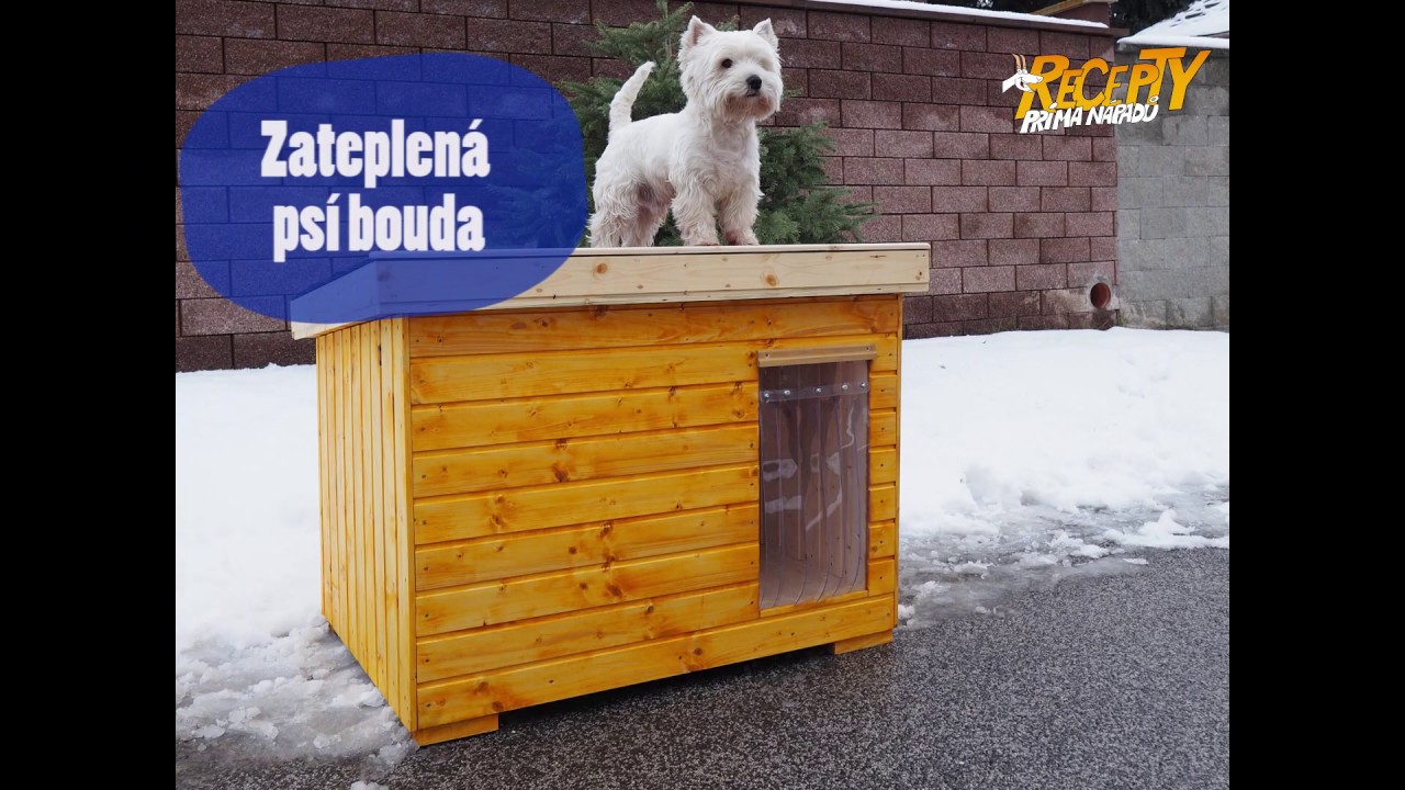 Jak postavit ps&iacute; boudu