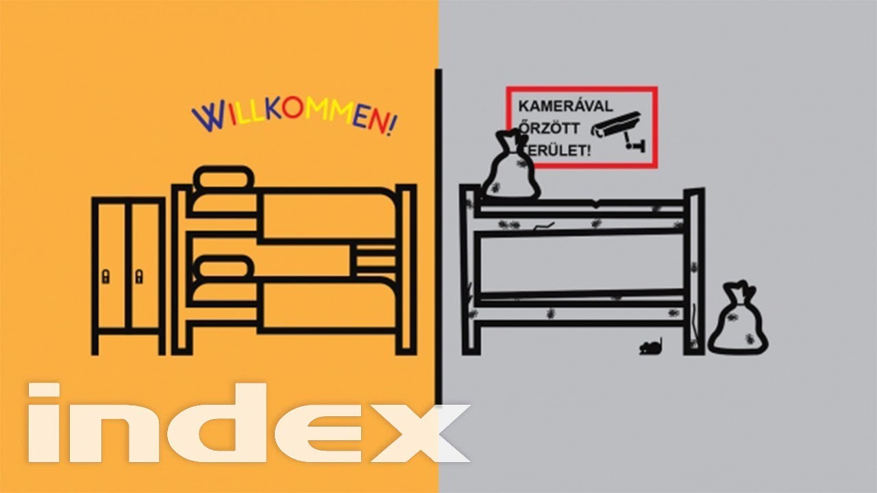A significant portion of Vienna's homeless population originates from Hungary. Why?