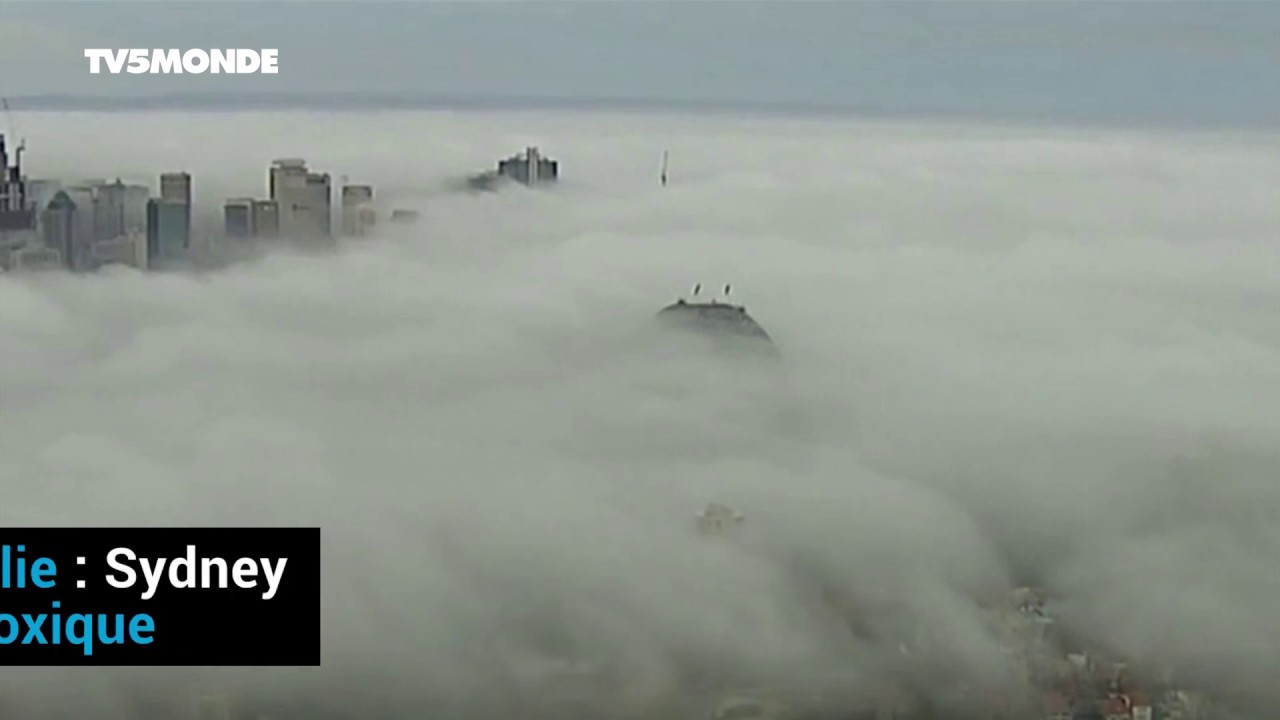 Australie : Sydney noyée dans un brouillard toxique à cause d'un gigantesque incendie sur la côte