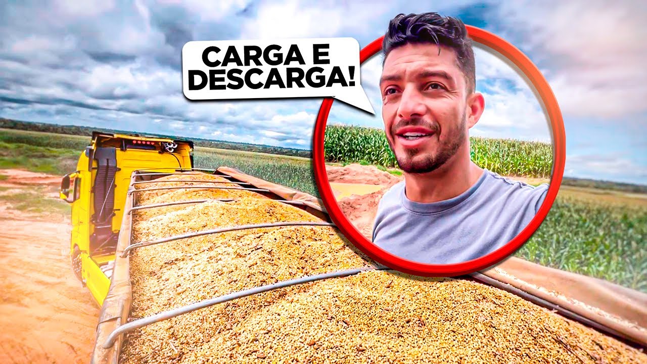PRIMEIRO CARREGAMENTO DO AMARELÃO