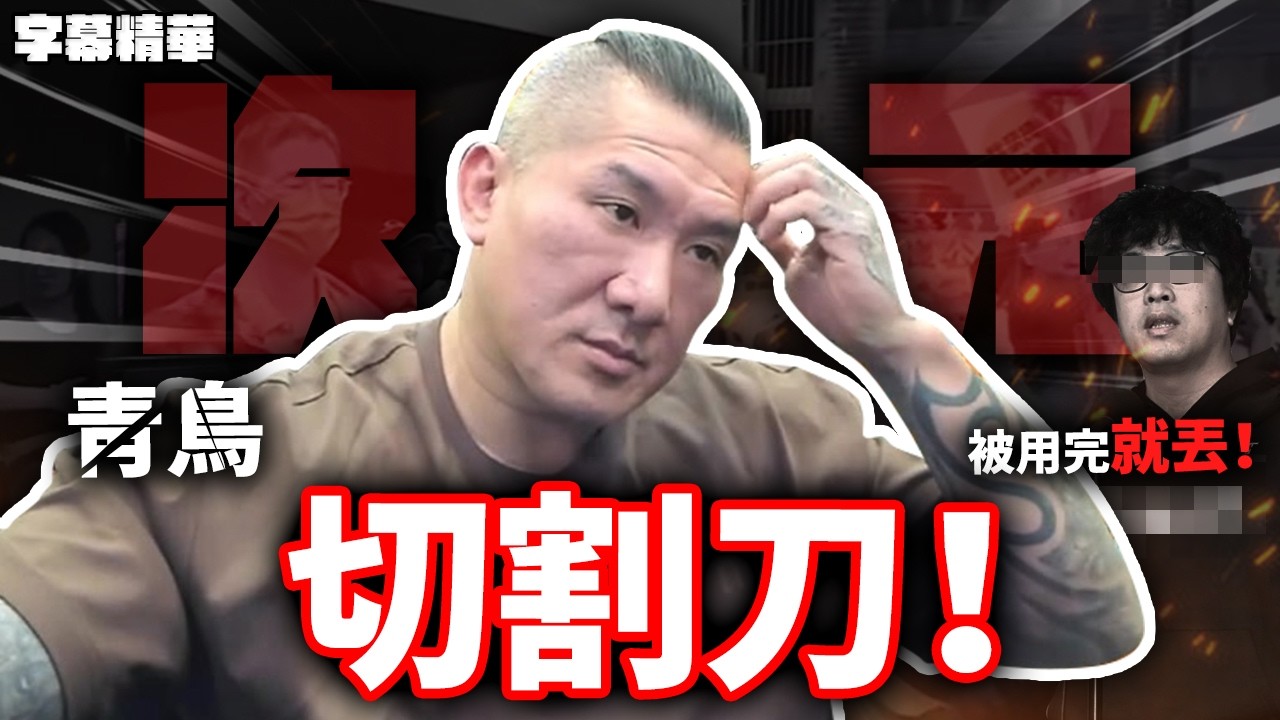 青鳥們最後還是淪落到這個下場！【字幕精華】