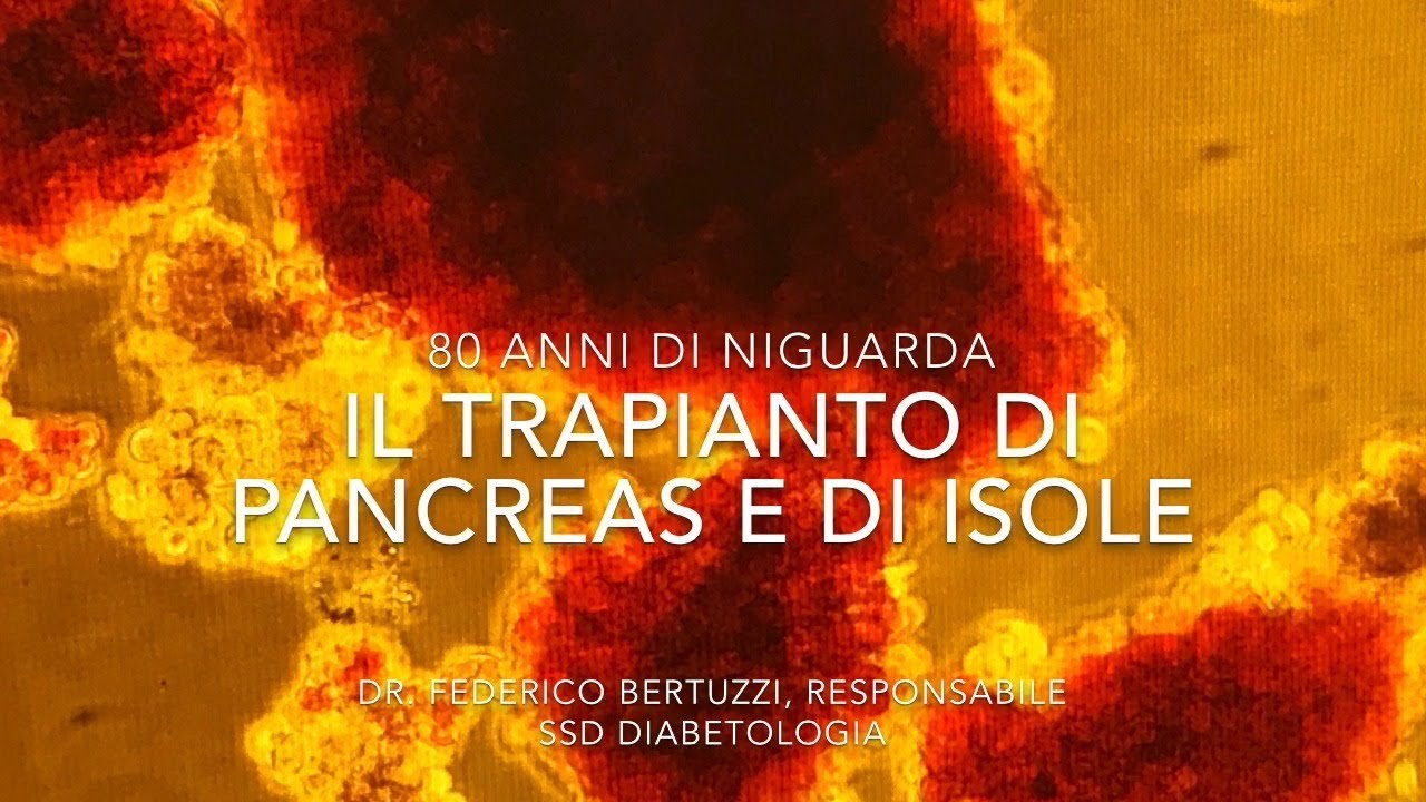 Il trapianto di pancreas e di isole pancreatiche al Niguarda