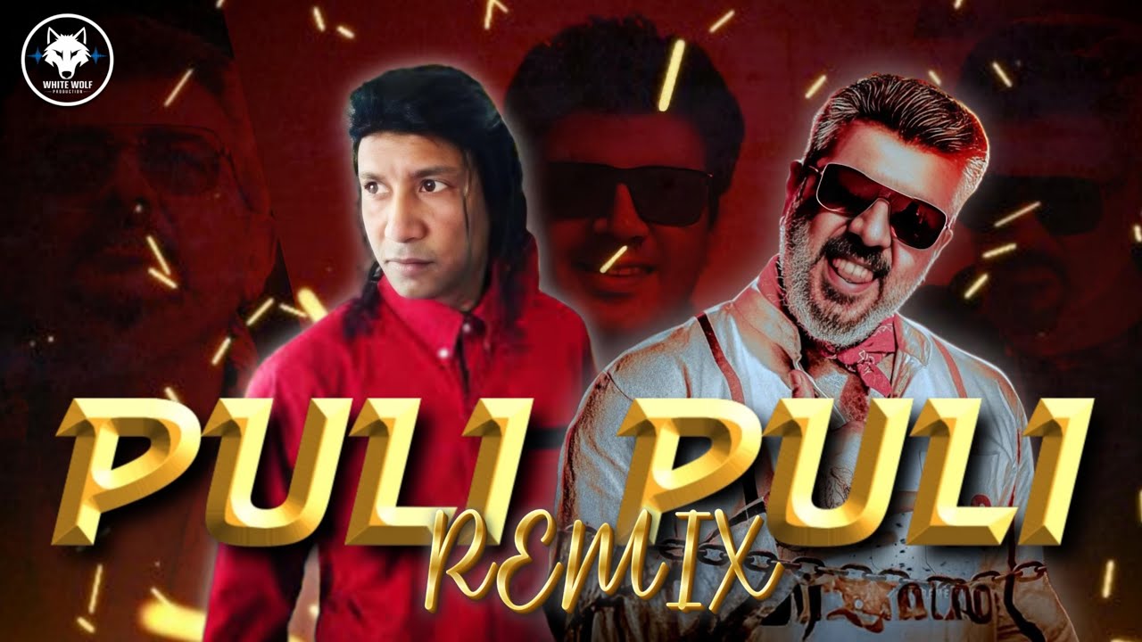 Puli Puli x Ak | DJ MOE LAY | TikTok Trending Mix