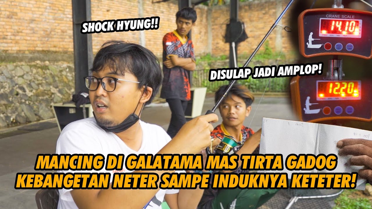 NETER INDUK! BARU DITARO LANGSUNG DILAHAP BIKIN SUPERSONIC PRO MELENGKUNG HEBAT!! GT NEW TIRTA GADOG