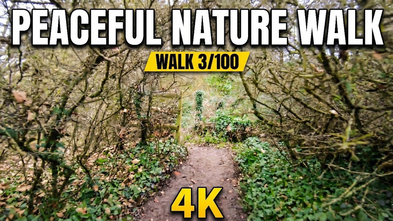 Walk 003/100: Calm & Peaceful 4K Nature Walk with Relaxing Music 4K