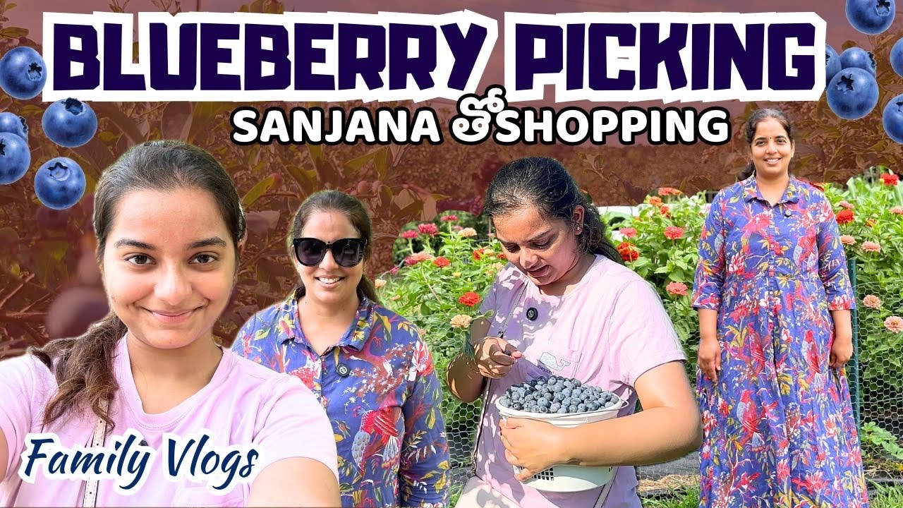 amma tho blueberry picking & Sanjana's shopping || Telugu Vlogs in USA || DIML || English Subs ||A&C