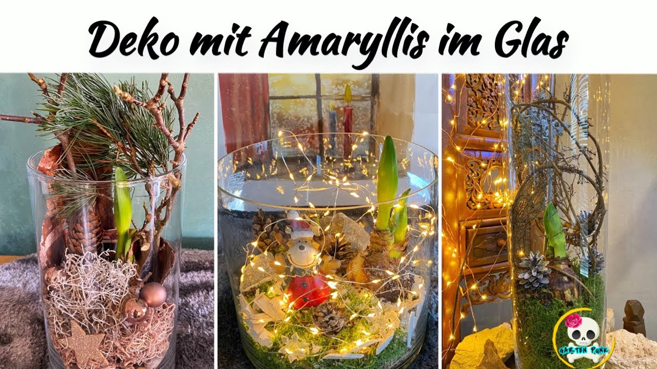 Deko mit Amaryllis im Glas - Amaryllis einfach dekorieren