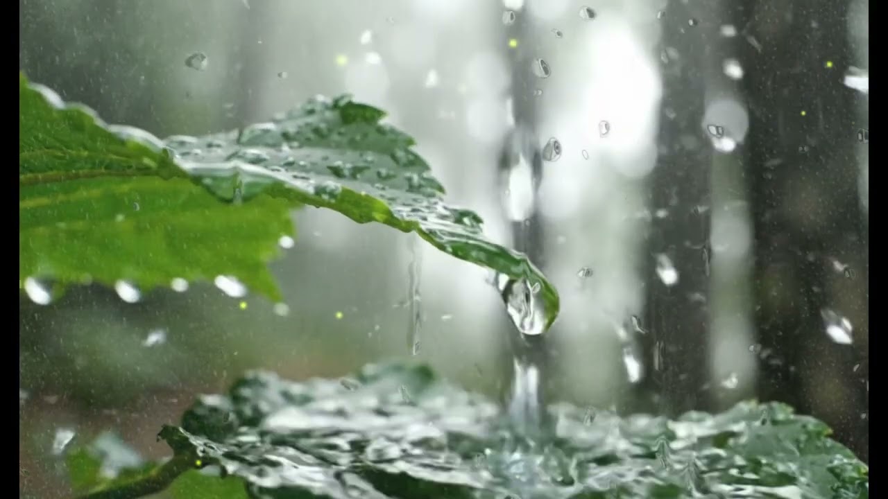 calming nature sounds Relaxing Breathe deeply… let the calm flow in