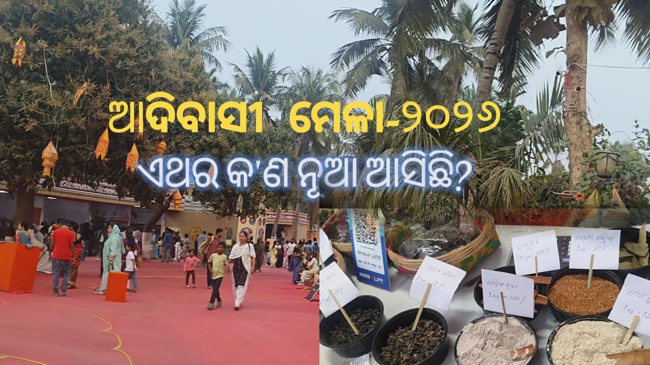 ଆଦିବାସୀ ମେଳା! କେତେ ସୁନ୍ଦରିଆ ଘର।(Adivasi Mela-2026)