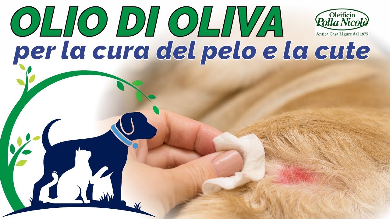 THE PET SHOW-L'olio di oliva per il pelo del cane