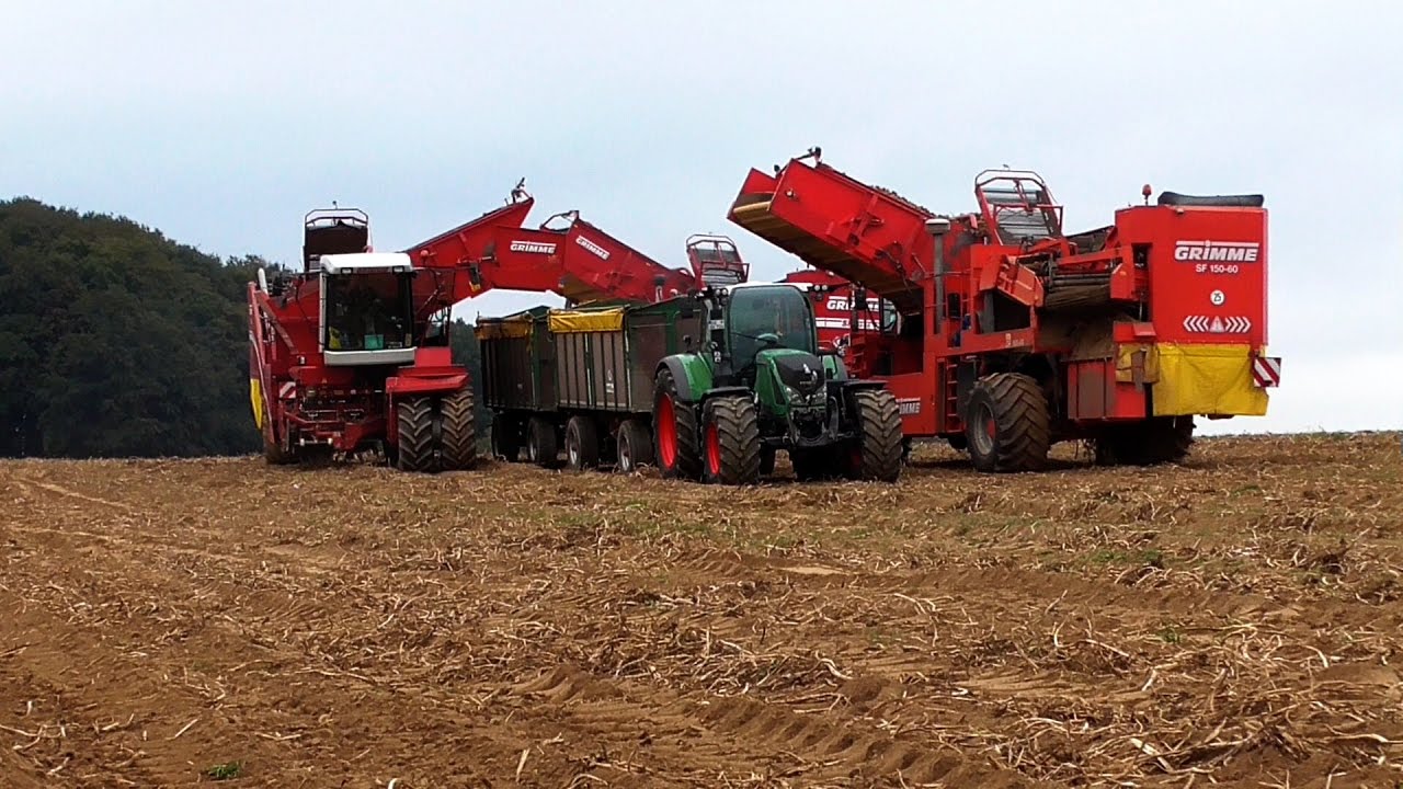 Kartoffelernte XXL 2016 |3 Grimme SF 150-60, 2x Lkw, 7x Fendt 724, 820, 716
